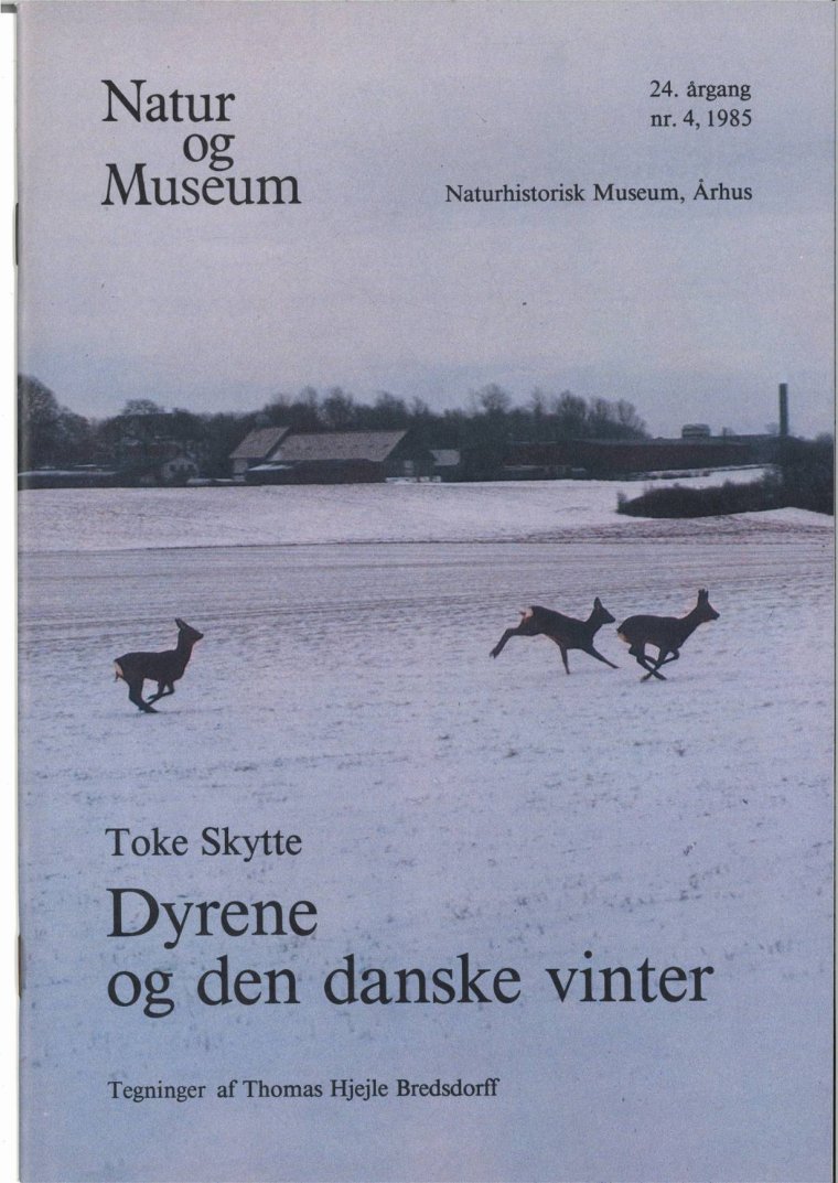 Dyrene og den danske vinter